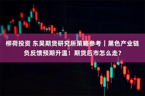 柳荷投资 东吴期货研究所策略参考｜黑色产业链负反馈预期升温！期货后市怎么走？