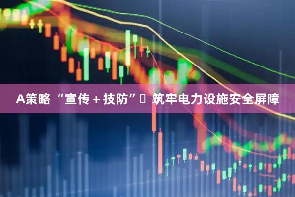 A策略 “宣传＋技防”​筑牢电力设施安全屏障