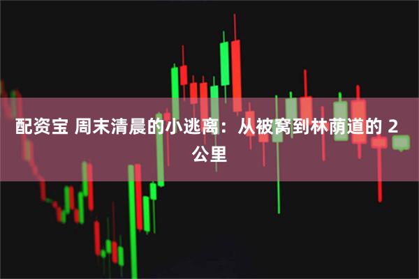 配资宝 周末清晨的小逃离：从被窝到林荫道的 2 公里