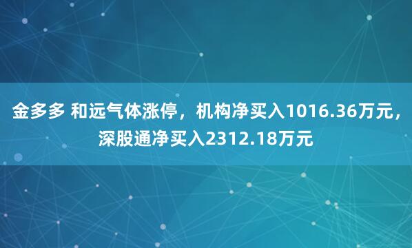 金多多 和远气体涨停，机构净买入1016.36万元，深股通净买入2312.18万元